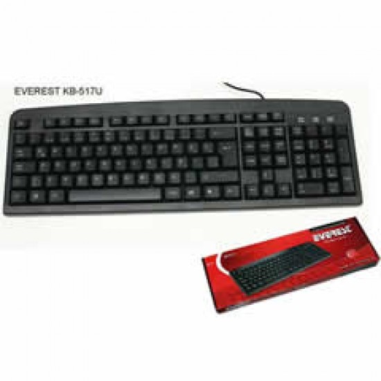 EVEREST KB-517U F USB STANDART SİYAH KLAVYE