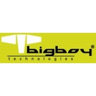 BIGBOY BTS426/16G 16 GB SERVER MEMORY