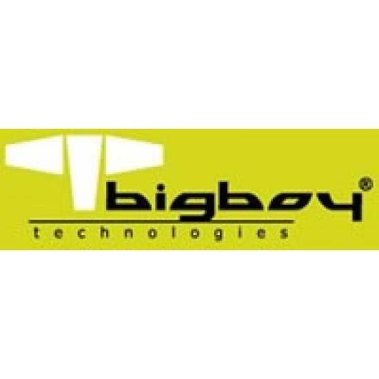 BIGBOY BTS429/32G 32GB DDR4 2933MHz CL21 Registered ECC SERVER MEMORY
