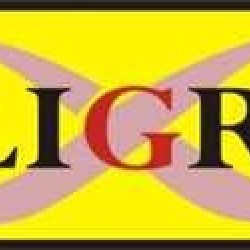 CALLIGRAPH W2070A(117A) SİYAH MUADİL TONER