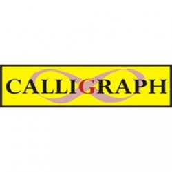 CALLIGRAPH W2210X(207X)CHIPSIZ SİYAH MUADİL TONER